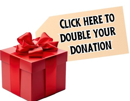 Big Give christmas social 2025